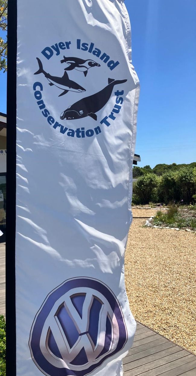 Pinguin-Aufzuchtstation...