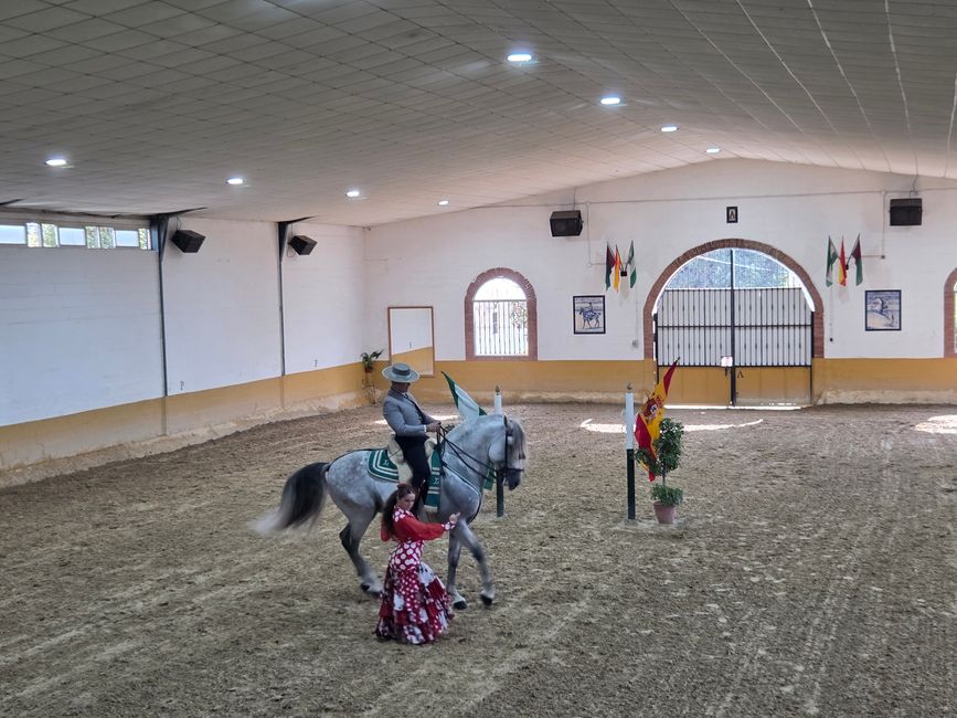 Hufe, Hüften, Flamenco – Mein Pferdeabenteuer in Málaga bei El Ranchito