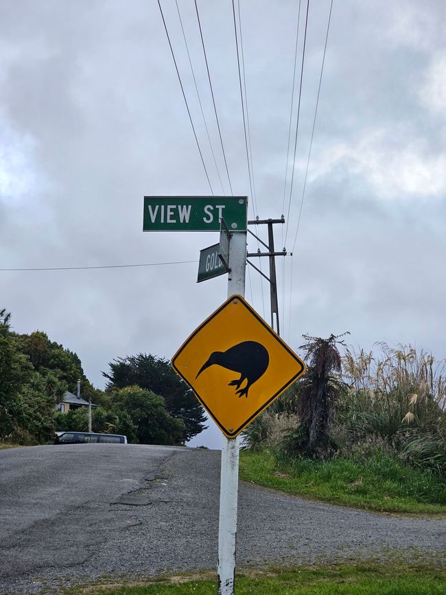Stewart Island