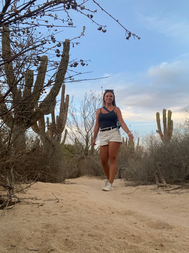 Road Trip - Baja California Sur