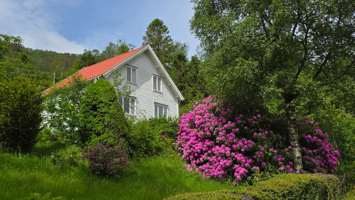 Insel Runde-Südnorwegen
13.Juni 2026