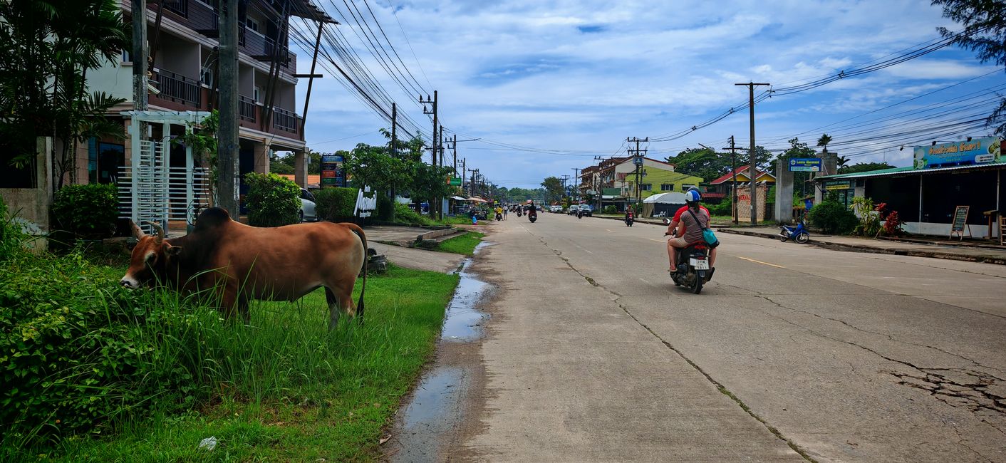 Jours de voyage Sukhothai - Bangkok - Trang - Koh Lanta