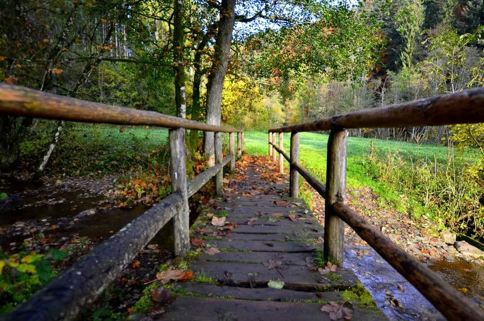 Autumn hiking in the Wutach Gorge: Red, yellow, orange... and you're right in the middle!