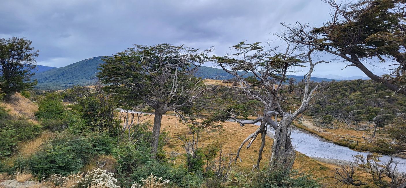 Unterwegs im Feuerland-Nationalpark