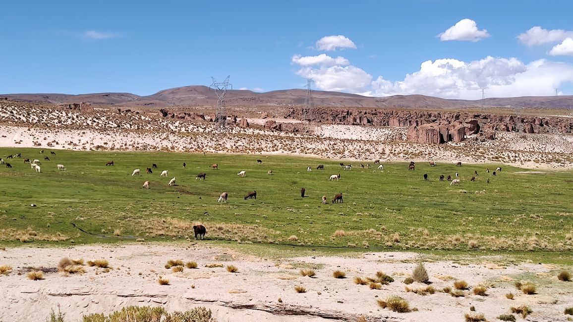 Bolivia, sorgenti termali a Tacoro