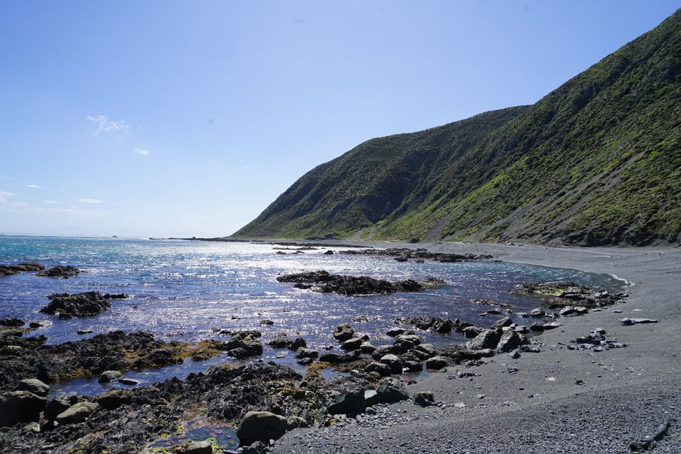 Owhiro Bay