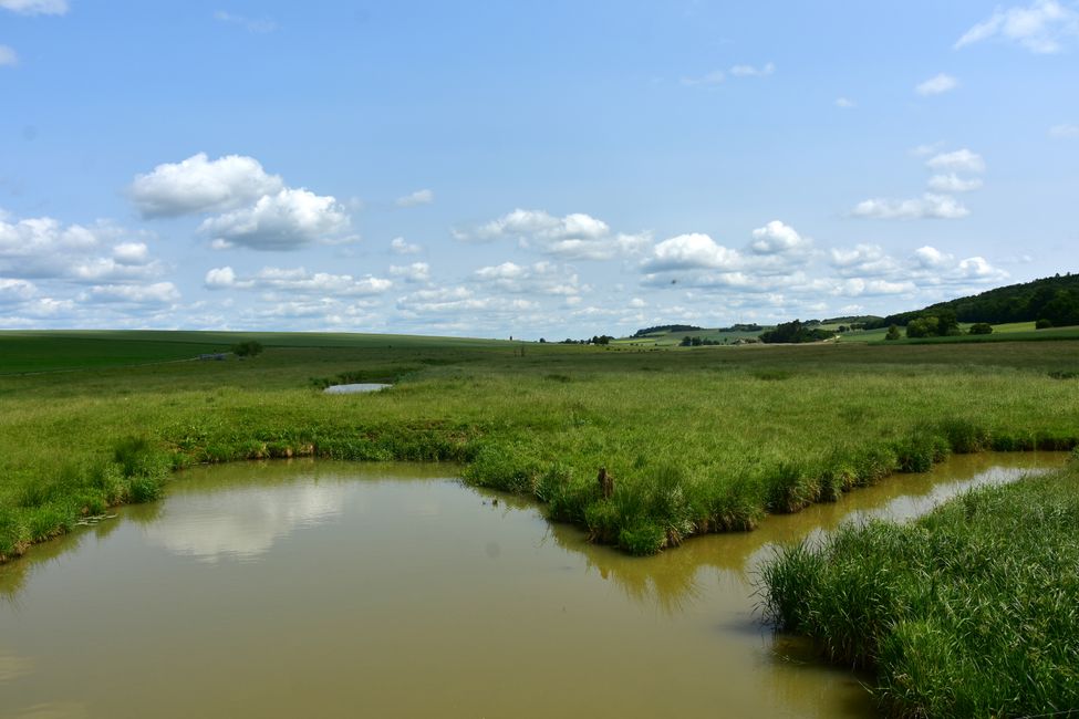 * * * S E C H T A S A F A R I - der Auerochsenweg
bei Bopfingen * * *
