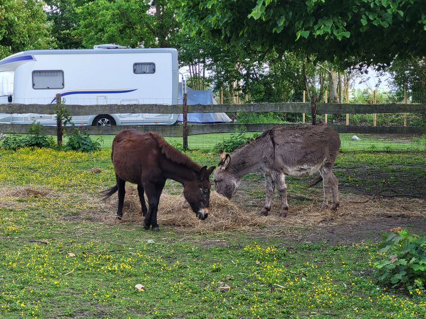 Campingplatz Johannisberg