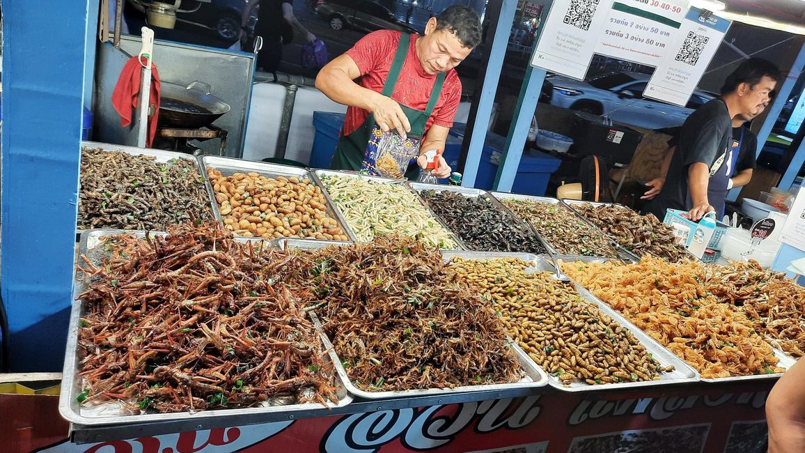 Freshly roasted: beetles, grasshoppers, maggots, worms...