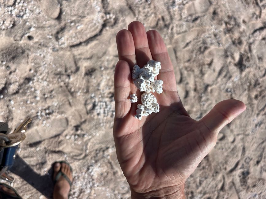 Hier an der Northshore gibt es auch den "Popcorn" - Strand - bestehend aus weißen Korallen