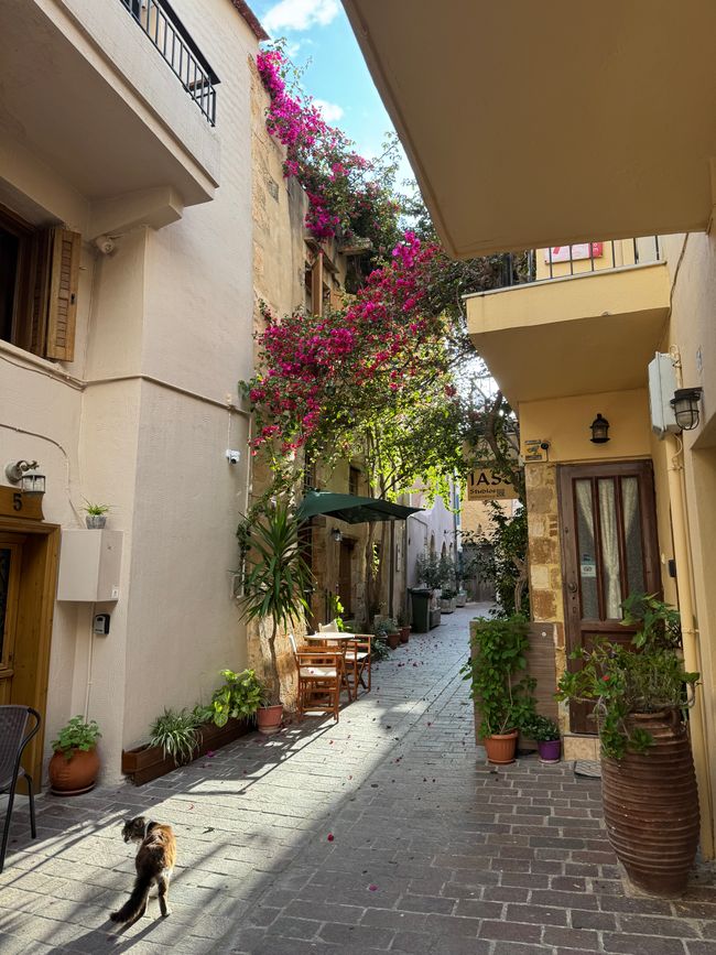 In dieser malerischen Gasse haben wir gewohnt