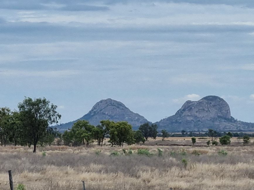 Outbackerfahru g: Emerald und Carnarvon Gorge Nationalpark