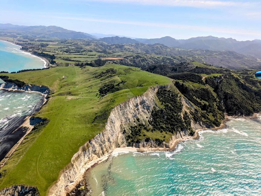 „Animal Watching“ in Kaikoura – Part Two (Seals, No Whales & Dolphins? - but Sheeps!)