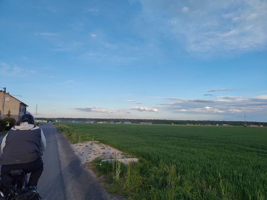 Ein grüner Streifen Hoffnung