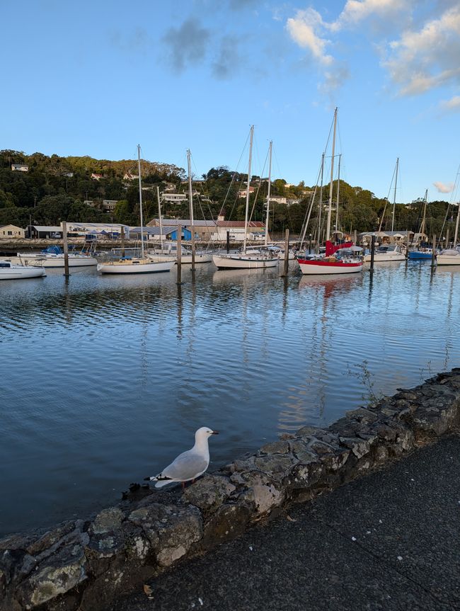 Whangarei -  Hundertwasser und Wasserfall