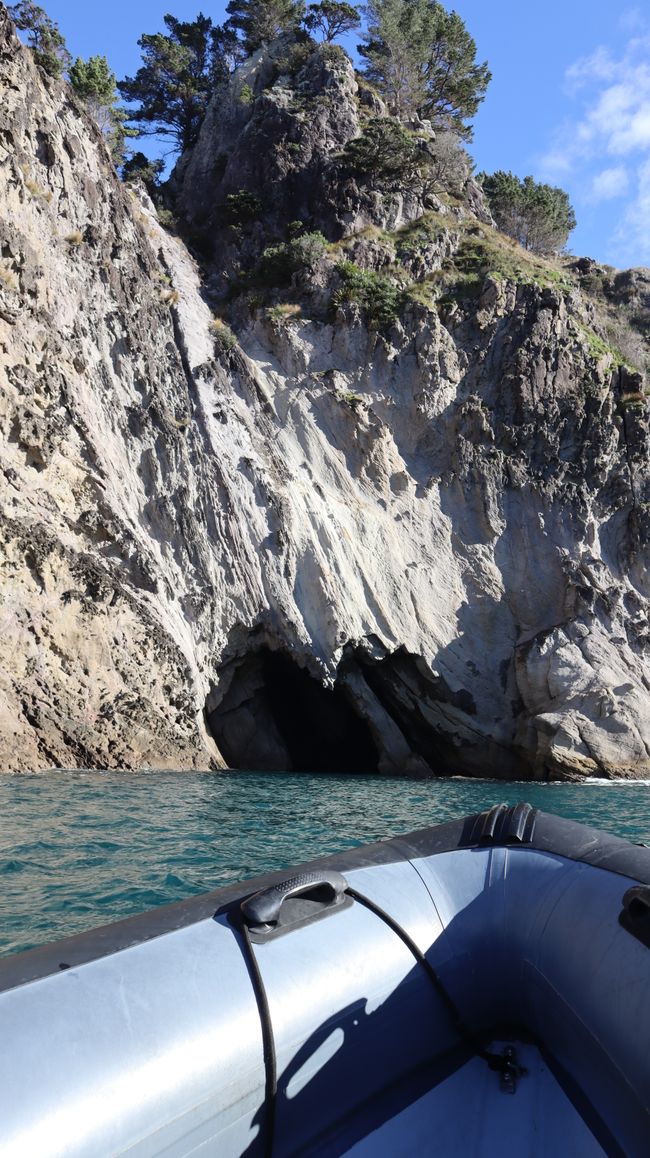 Bootstour entlang der Küste von Whitianga bis zur Cathedral Cove
