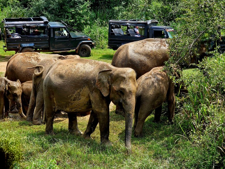 Hurulu Eco Park