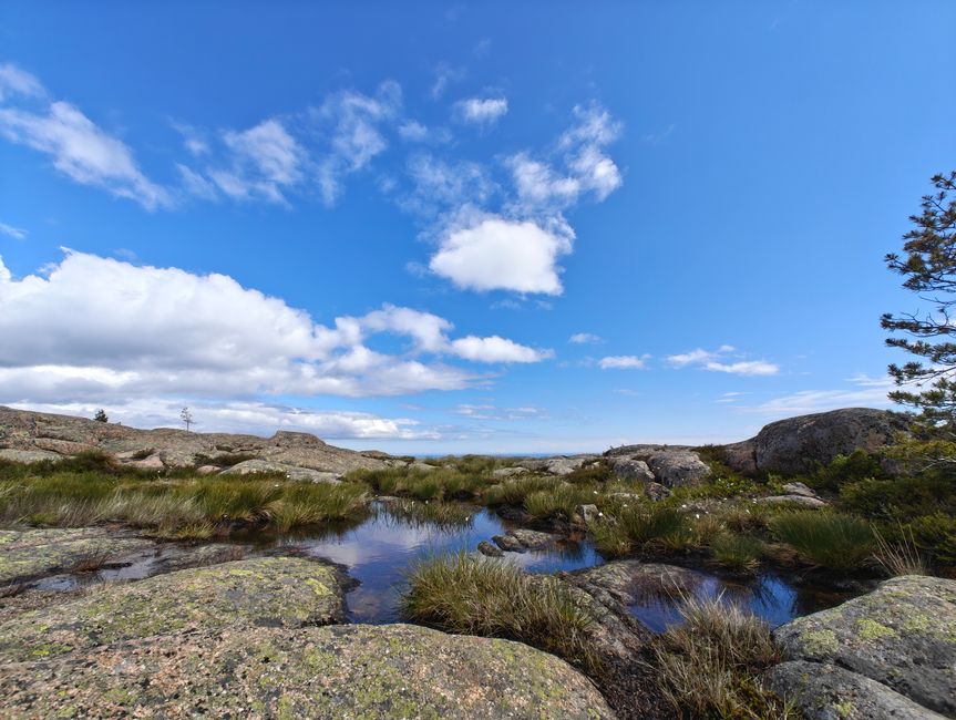 Parque Nacional Skoleskogens