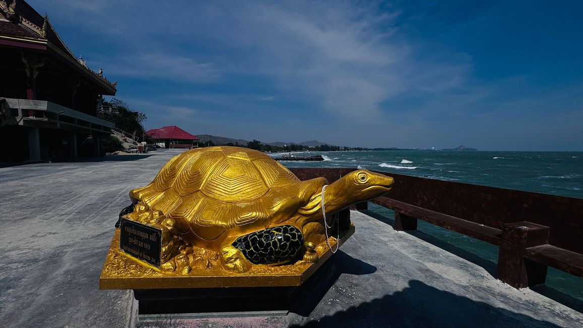 Schildkröte im Khao-Tao-Tempel