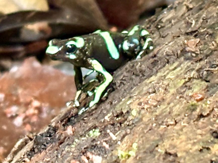 Unterwegs in Costa Rica