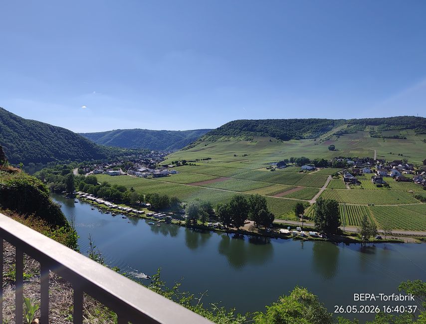 Ein , Arbeitstag ' für Herrchen an der Mosel 