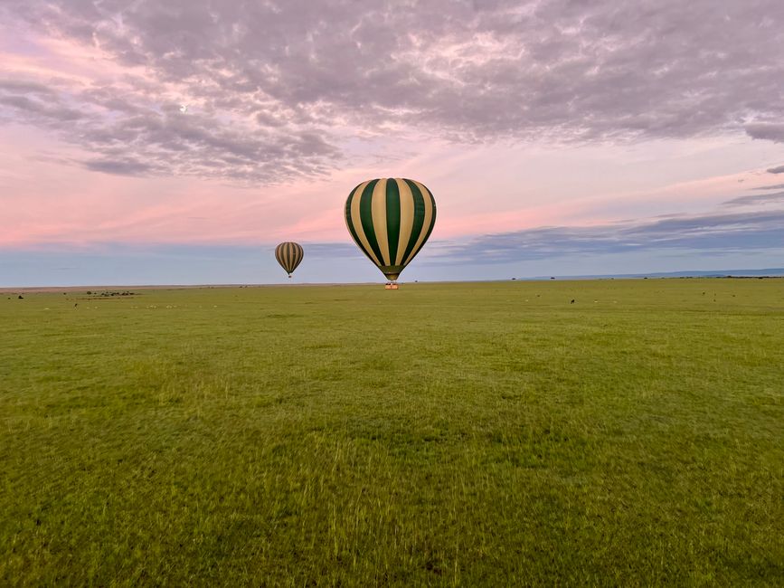 Luftballong över Masai Mara