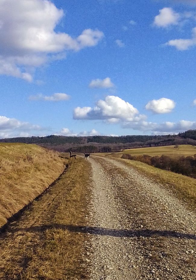 Wir bauen ein Fundament - Horizonte entdecken, Werte checken