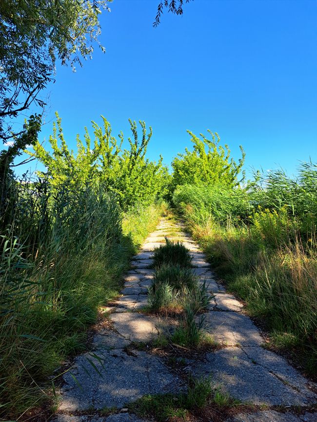 Tschechische Straßen 