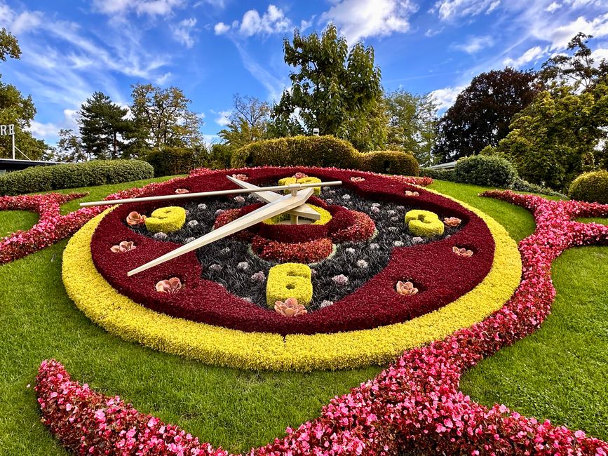 Flower Clock