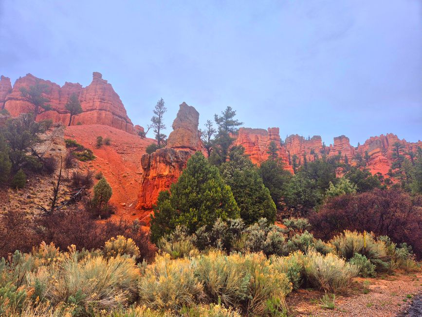Red Canyon