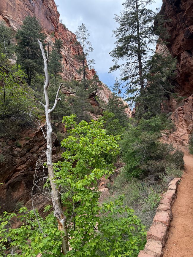 Im Refrigerator Canyon