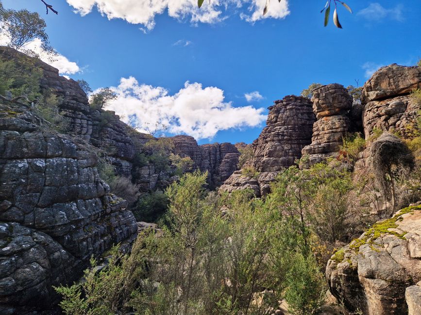Genuss im Grampian Nationalpark