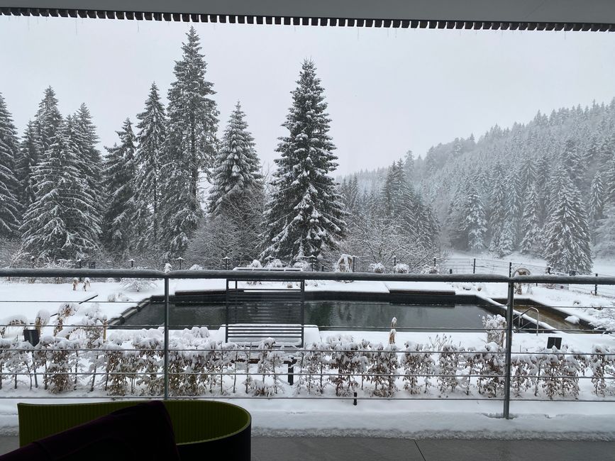 Aussicht aus dem Studio auf das Aussenbecken