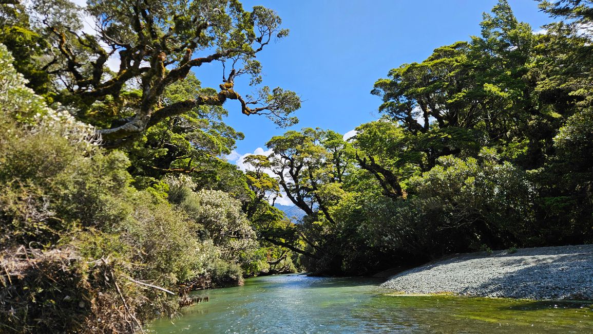 Manapouri - Te Anau - Milford Sound