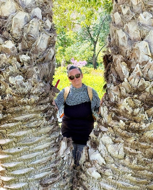 Icke zwischen zwei riesigen Palmen.