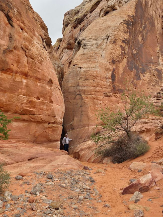 White Domes Trail - The Slot