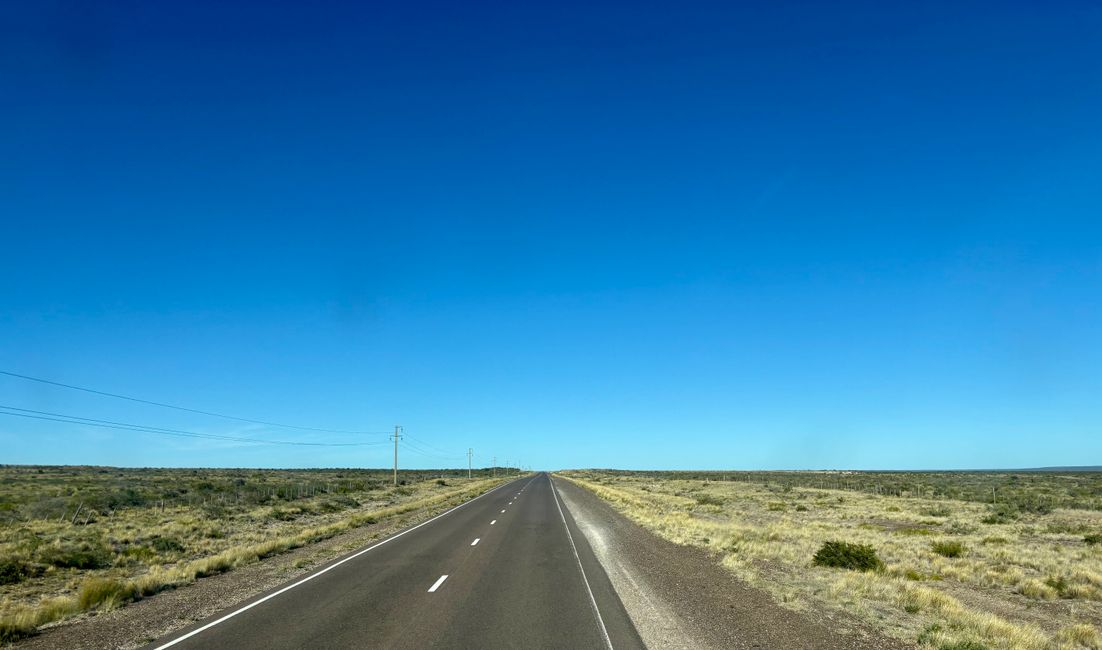 On the road by bus... much horizon in the province Las Pampas