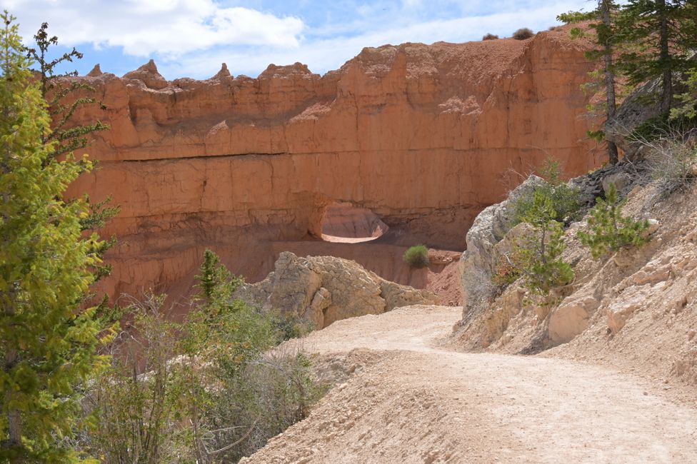 Im Amphitheater