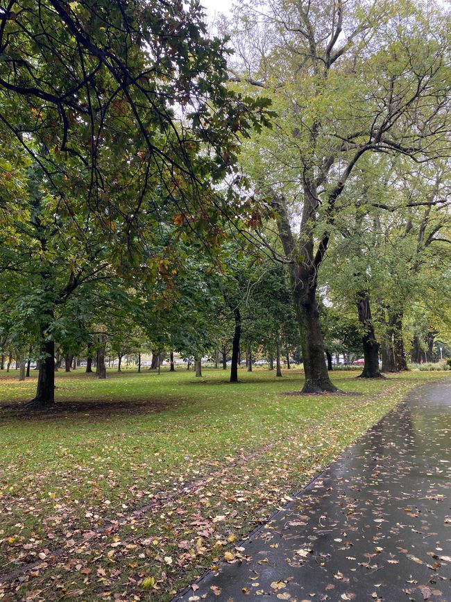 Lets do some Sightseeing