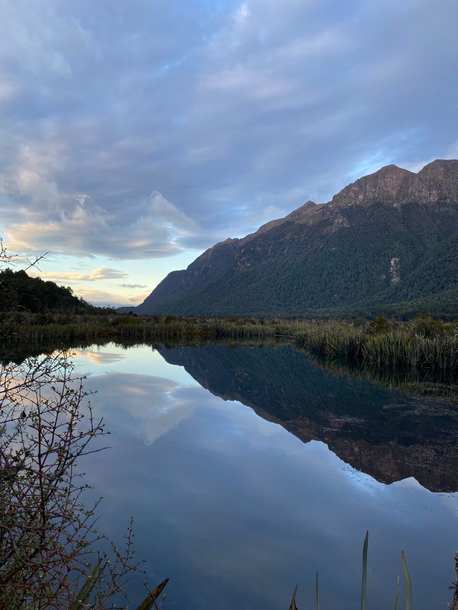 Road trip to Milford Sound