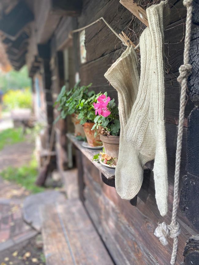 Spreewald like in the old days – A rewarding trip to Lehde