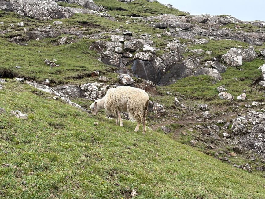 Dos cascadas en Vágar