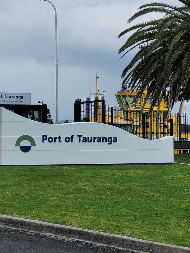 Día 68 de 175: Crucero alrededor del mundo - Tauranga/Nueva Zelanda