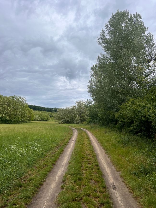 11 nach Sárvár