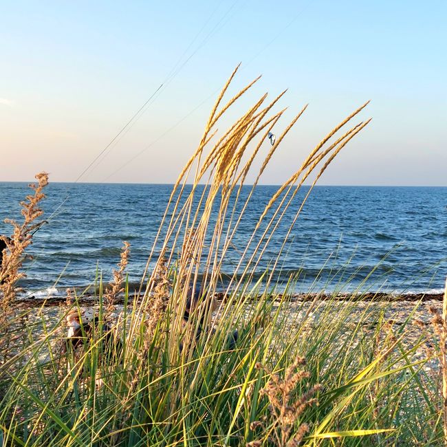 Fehmarn