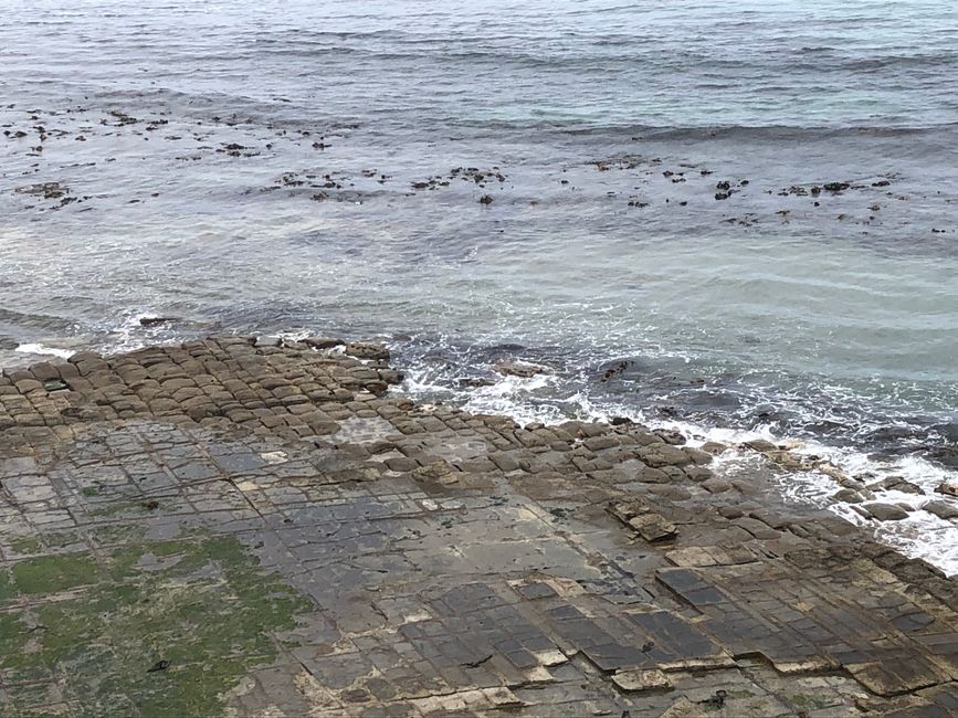 Tessellated Pavement (Mosaikpflaster) - Salzkristalle haben diese Oberfläche geschaffen