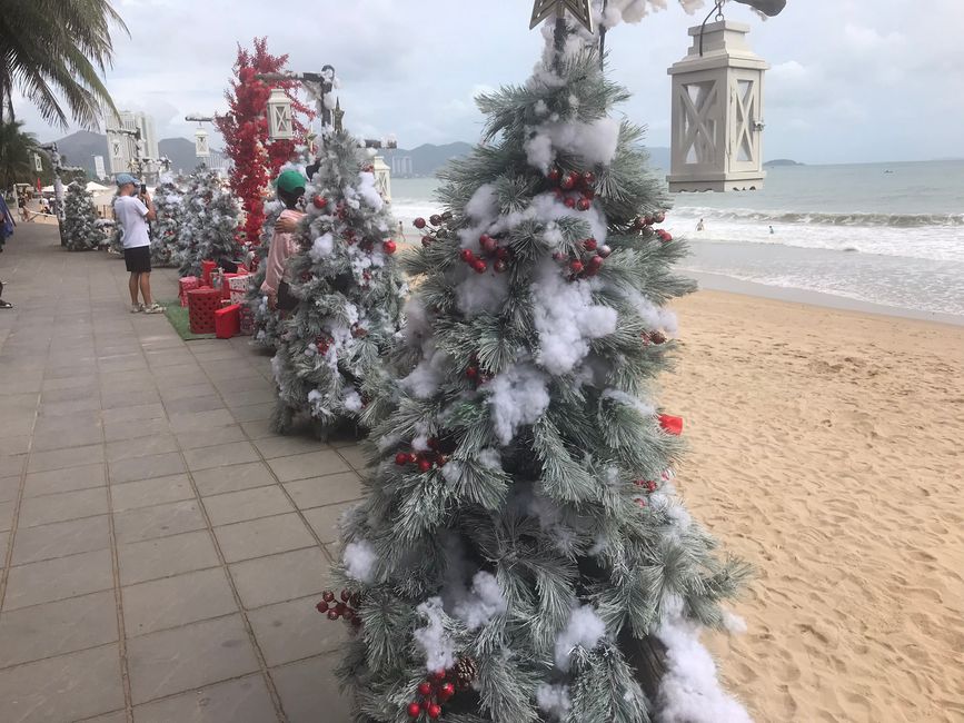 Árboles de Navidad en la playa