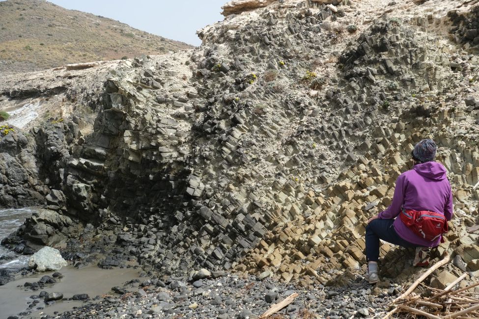 volcanic rock on the coast