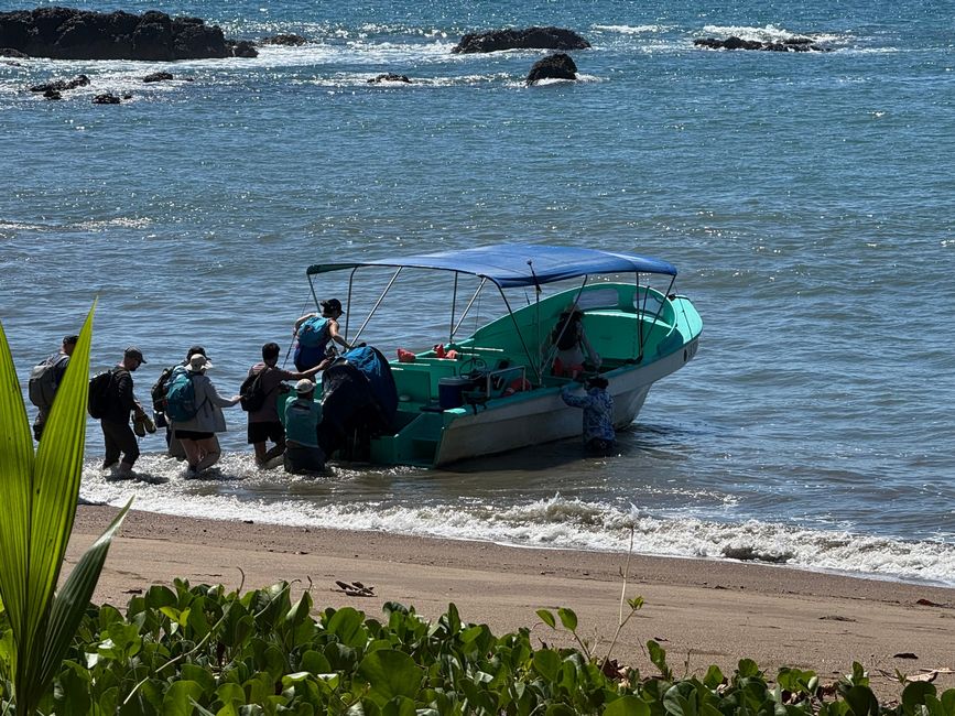 Adiós Corcovado