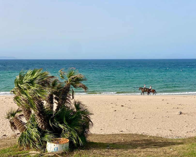 Gone with the Wind: Tarifa, Europe's Wind Wonderland!